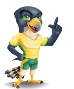 GM - -jamie-parsons -- sport falcon animal -- vector poses-02